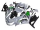 Carenados Moto Kawasaki ZX14R ZZR1400 2012-2024 - Gris Verde Negro Asequibles