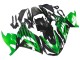 Kits Carenado Moto Kawasaki ZX14R ZZR1400 2012-2024 - Verde Negro Brillante Asequibles