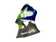 Carenados Moto Kawasaki ZX6R 1998-1999 - Verde Blanco Azul Plata Negro Brillante Asequibles