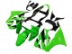 Carenados Moto Kawasaki ZX6R 2000-2002 - Verde Blanco Negro Asequibles