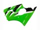Carenados Moto Kawasaki ZX6R 2000-2002 - Verde Blanco Negro Asequibles