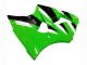 Carenados Moto Kawasaki ZX6R 2000-2002 - Verde Blanco Negro Asequibles