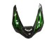 Carenado Moto Kawasaki ZX6R 2005-2006 - Negro Brillante Verde Llama Asequibles