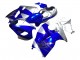 Carenados Moto Suzuki GSXR 1300 Hayabusa 1996-2007 - Azul Plata Hayabusa Asequibles