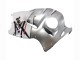 Carenados Moto Suzuki GSXR 1300 Hayabusa 1996-2007 - Blanco Plata Hayabusa Asequibles