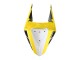 Carenados Moto Yamaha YZF R3/R25 2019-2021 - Amarillo Blanco Negro Raya Asequibles