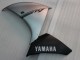 Carenado Moto Yamaha YZF 1000 R1 2009-2011 - Plata Negro Asequibles