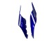 Carenados Moto Yamaha YZF 1000 R1 2015-2019 - Azul Negro Brillante Verde Monstruo Asequibles