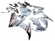 Carenados Moto Yamaha YZF R6S 2006-2009 - Blanco Dark Negro Llama Asequibles