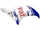 Carenados Moto Yamaha YZF 600 R6 2005 - Blanco Azul Dunlop Fiat Motul Asequibles