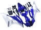Carenados Moto Yamaha YZF 600 R6 2006-2007 - Blanco Azul Negro Asequibles