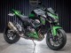 Carenados Moto Kawasaki Z800 2013-2018 - Verde Negro Brillante Asequibles