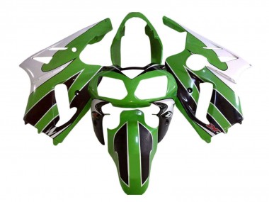Carenados Moto Kawasaki ZX12R 2002-2006 - Blanco Verde Negro Asequibles