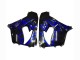 Carenados Moto Kawasaki ZX9R 2000-2001 - Negro Brillante Azul Llama Blanco Asequibles