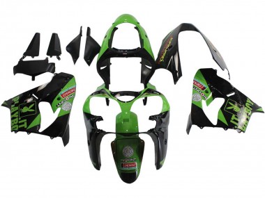 Carenados Moto Kawasaki ZX9R 2000-2001 - Verde Negro Playboy DENSO Asequibles