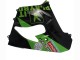 Carenados Moto Kawasaki ZX9R 2000-2001 - Verde Negro Playboy DENSO Asequibles