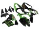Carenados Moto Kawasaki ZX9R 2000-2001 - Verde Negro Playboy DENSO Asequibles