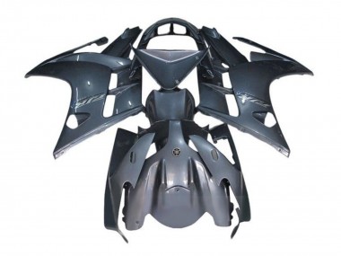 Carenados Moto Yamaha FJR1300 2007-2012 - Gris Asequibles