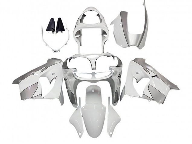 Carenados Moto Kawasaki ZX9R 2000-2001 - Blanco Plata Asequibles
