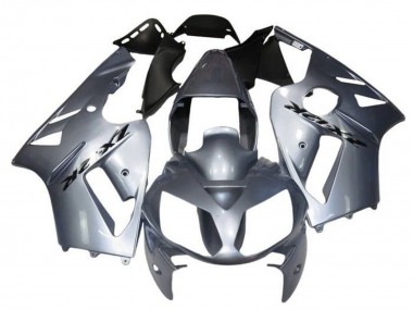 Carenados Moto Kawasaki ZX12R 2000-2001 - Plata Asequibles