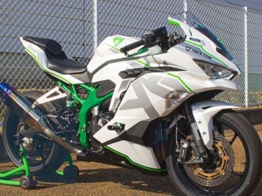 Carenados Moto Kawasaki ZX4R ZX-4RR 2019-2025 - Blanco Plata Verde Asequibles