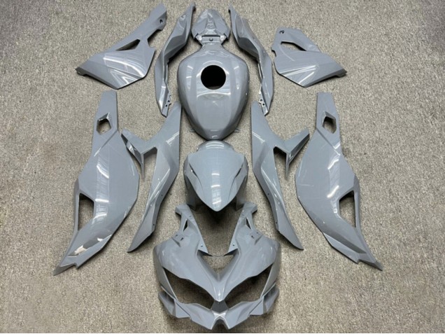 Carenados Moto Kawasaki ZX4R ZX-4RR 2019-2025 - Nardo Gris Brillante Asequibles