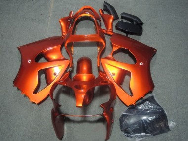 Carenados Moto Kawasaki ZX6R 2000-2002 - Naranja Asequibles