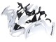 Carenados Moto Kawasaki EX650 2012-2016 - Blanco Negro Asequibles